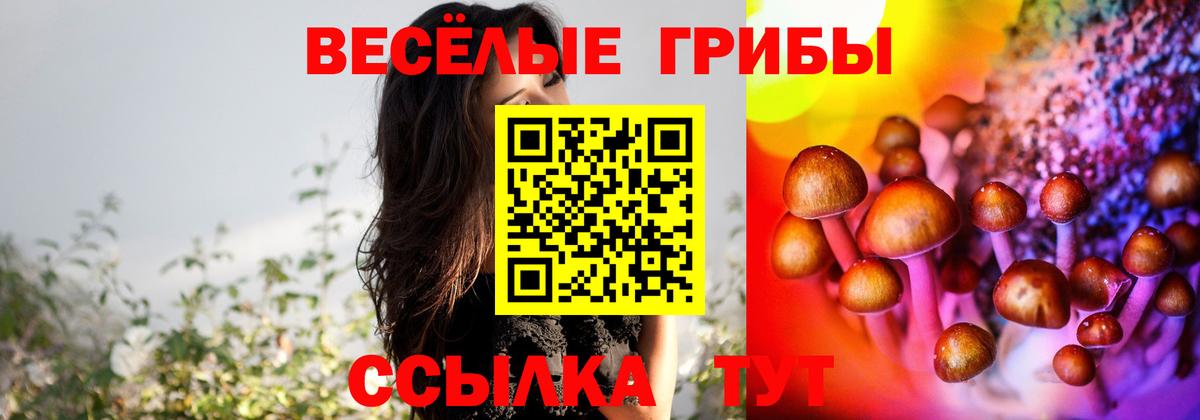 Псилоцибиновые грибы GOLDEN TEACHER Нижневартовск